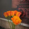 mariam17905