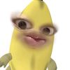 kucingimoooetz