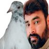 nomikhan0337
