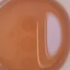 xoogsadeninalle