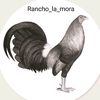 rancho_la_mora