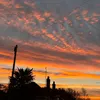 sienna_orton37