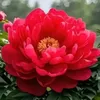 yte612345