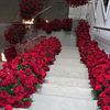 fariha66774