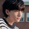 stray_horizon0320