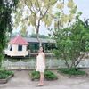 Nguyễn Thanh Loan