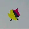 tahaomer64