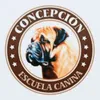 concepcionadiestramiento