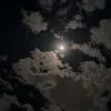 29a_4f