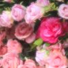 _.floral_fauna._