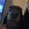 spammingspamspam