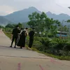 phuongson_068
