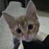 amanda_28272