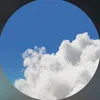 celxxsj