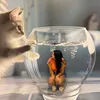 isabellypresenza