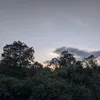 akangsamarinda7