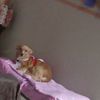 princesa09015