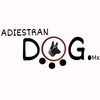 adiestrandog.mx