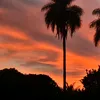 saramilene122