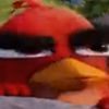 randomclipsoftheinternet