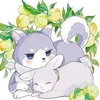 qq77nmsl