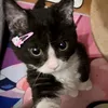 thaystwgirl