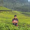 renqqa_223