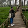 fitriiveb