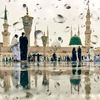 abu_hatem777
