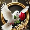 abdurezakmami79