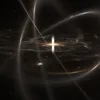 🦑