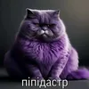 cemen.mihailov_2003