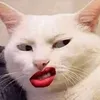l.tttttttttt