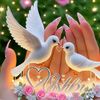 missnurunnahar121