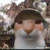 tgltiger468