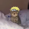 nminhgzrtm3