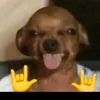 jaybeess0