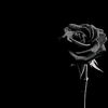 blacklangobelen_nathan