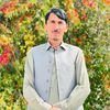 mushtaqmushtaq1671