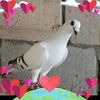 user2757203861504
