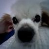 _willbill_