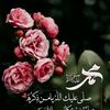 samehsameh1533