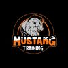 mustang_training