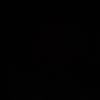 no.r09888