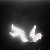 youssef4did_1