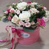 galia_344567