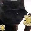 alex_dabloon.police