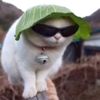 benjamin_cuisine_06