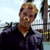 davipdls