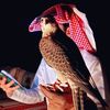 abomahmad01